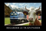 Pas de malheur, pas de bonheur