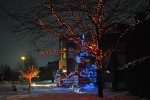 Un jardin d’hiver