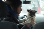 Après une troisième présence à Cannes, Chloé Robichaud tournera son premier long métrage