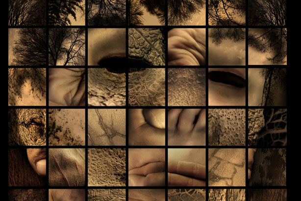 102e exposition de la Société des photographes artisans de Québec