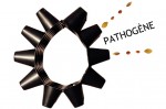 «Pathogène» au Centre culturel Pauline-Julien dès le 21 juin