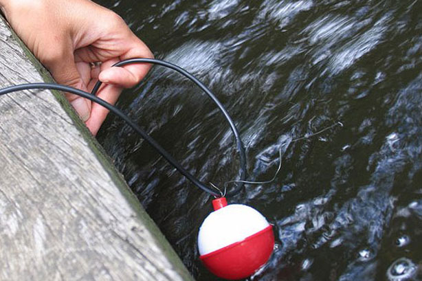 «Bruissements et clapotis» jusqu'au 30 août