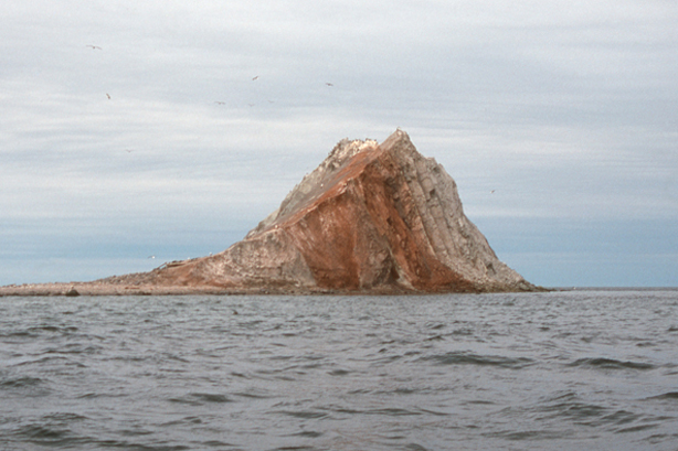 Autopsie du Corps-Mort chez Axeneo 7