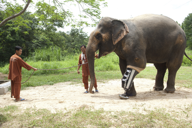 23e Festival de films One World: s'éveiller