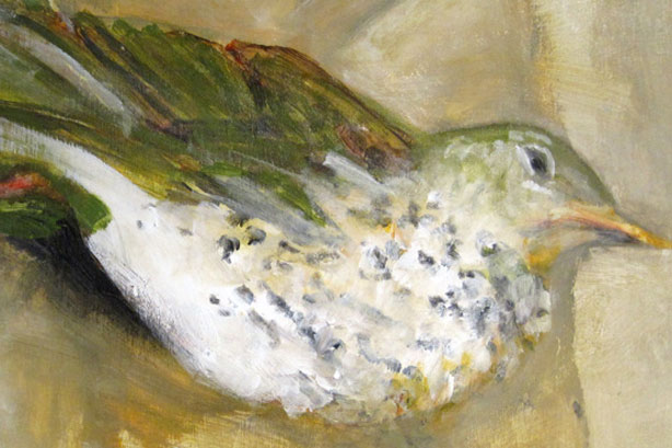 Les «Petits volets dormants» de Fanny Mesnard au Palais Montcalm