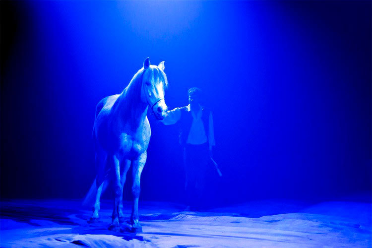 Le Noël enchanté de Varia – spectacle équestre