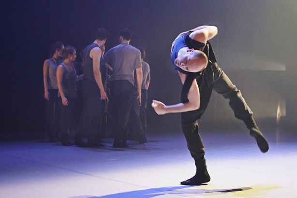Danses de mai 2013 : l'École de danse contemporaine de Montréal fleurit à nouveau