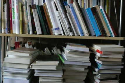 Huit auteurs locaux qui sortiront un livre en 2014