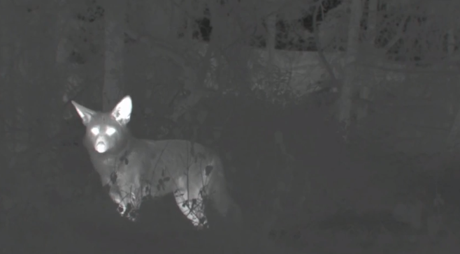 Coldplay : une nouvelle chanson intitulée Midnight