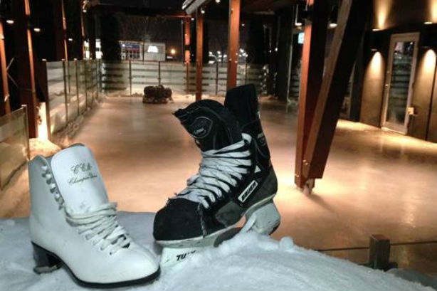 Terrasse en été, patinoire en hiver!