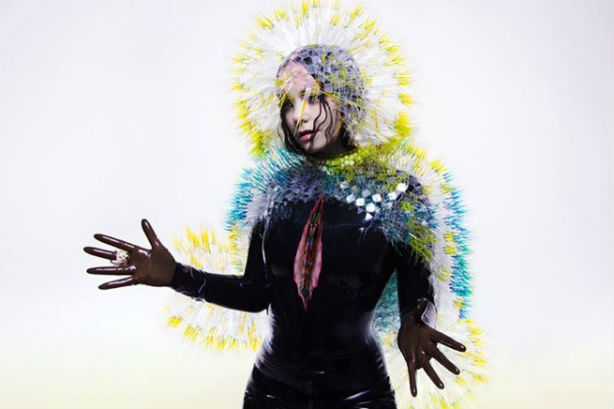 Björk : Vulnicura disponible dès maintenant