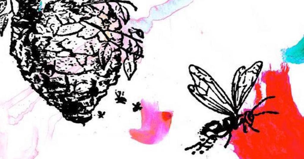 La misogynie 2.0 dénoncée par un collectif féministe Actualité web