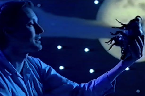 [À voir] Shake and Tremble: Django Django contre la jungle