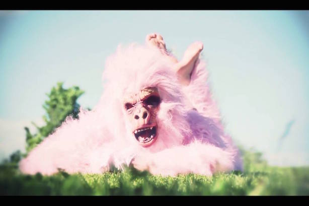 [Exclusivité] SUN! POW! – Pigeonhole