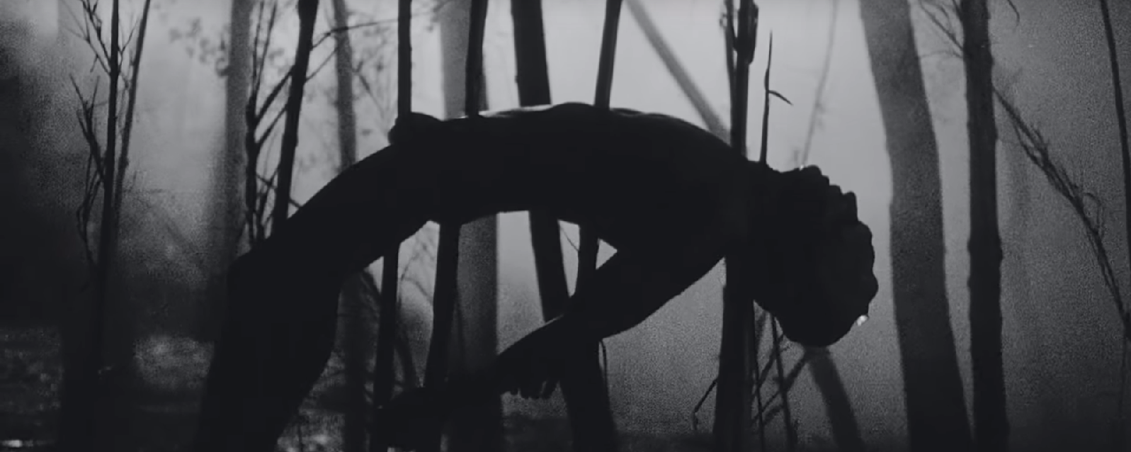 [À visionner] FUCKKKYOUUU, un étrange court métrage mis en musique par Flying Lotus