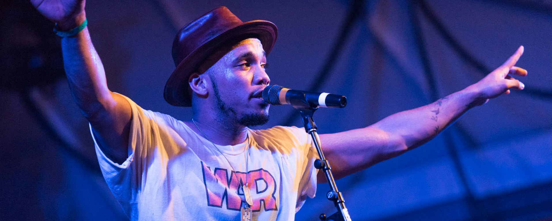 FEQ 2017 : Anderson .Paak, Danny Brown, Kelela et d'autres s'ajoutent