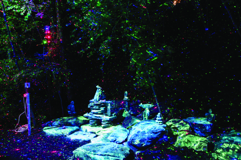 Foresta Lumina
