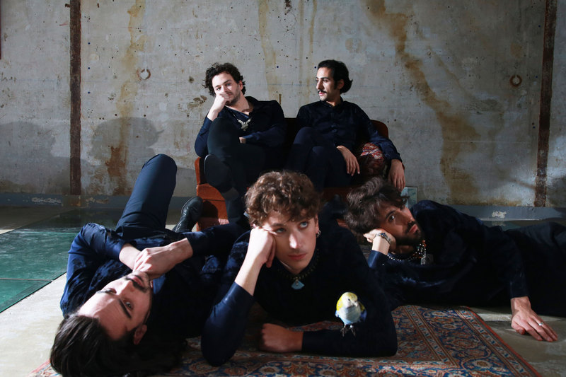 Feu! Chatterton