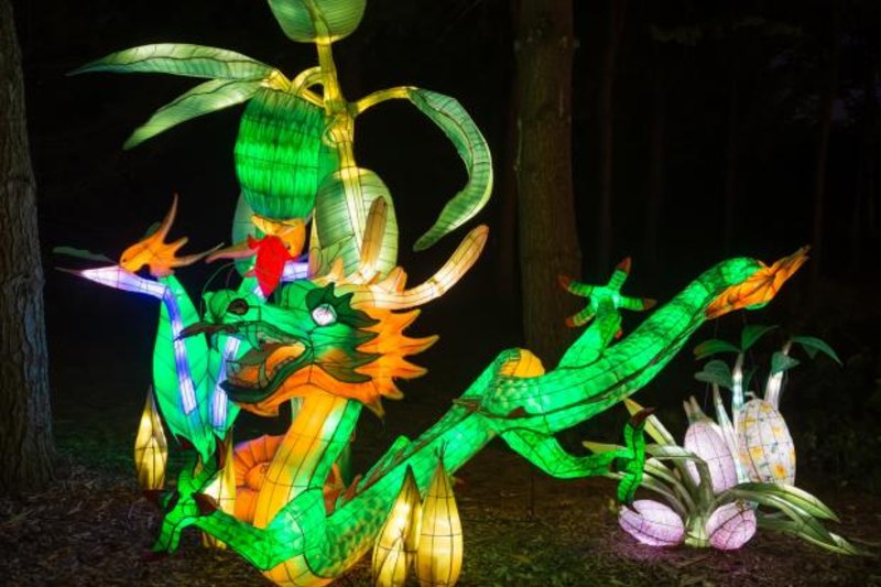 Jardins de lumière