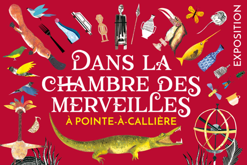 Dans la Chambre des merveilles