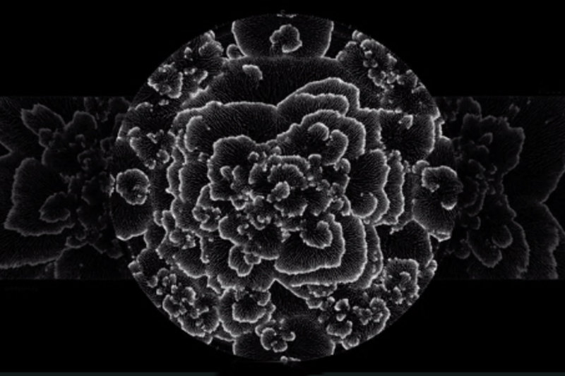 Sphere : une immersion visuelle et sonore spectaculaire
