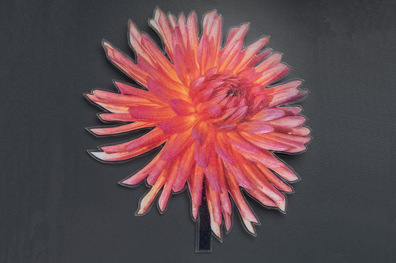 Montréalaises d'avant-garde - Le bijou, le verre et la céramique