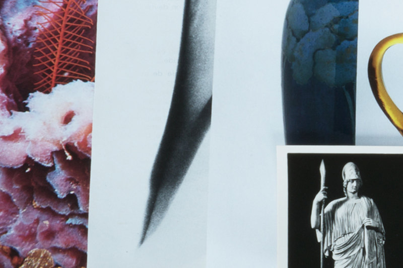 Celia Perrin Sidarous - L'archiviste