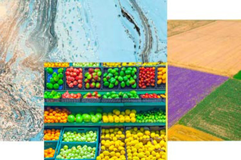 Symposium du GastronomiQc