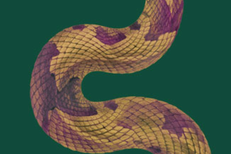 Venenum, un monde empoisonné
