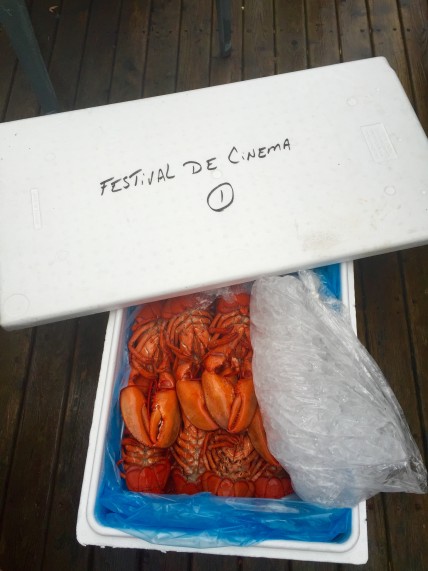 Les homards 2015 du FICFA.