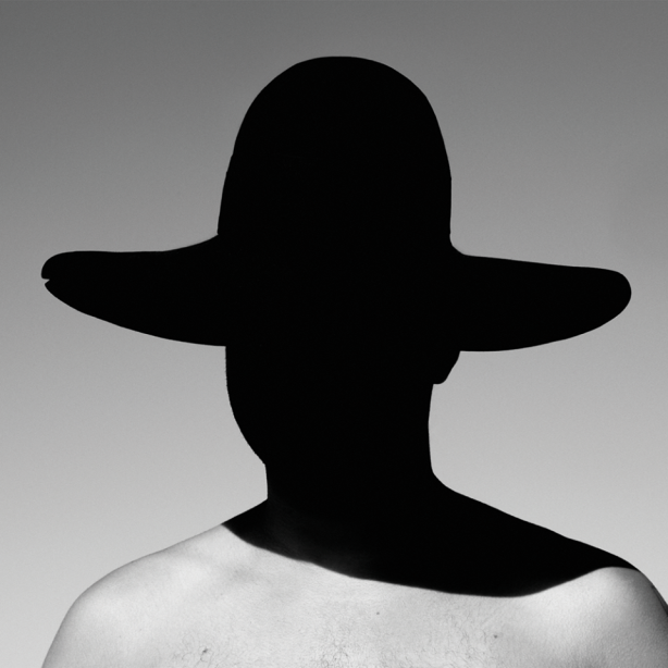 TwinShadow