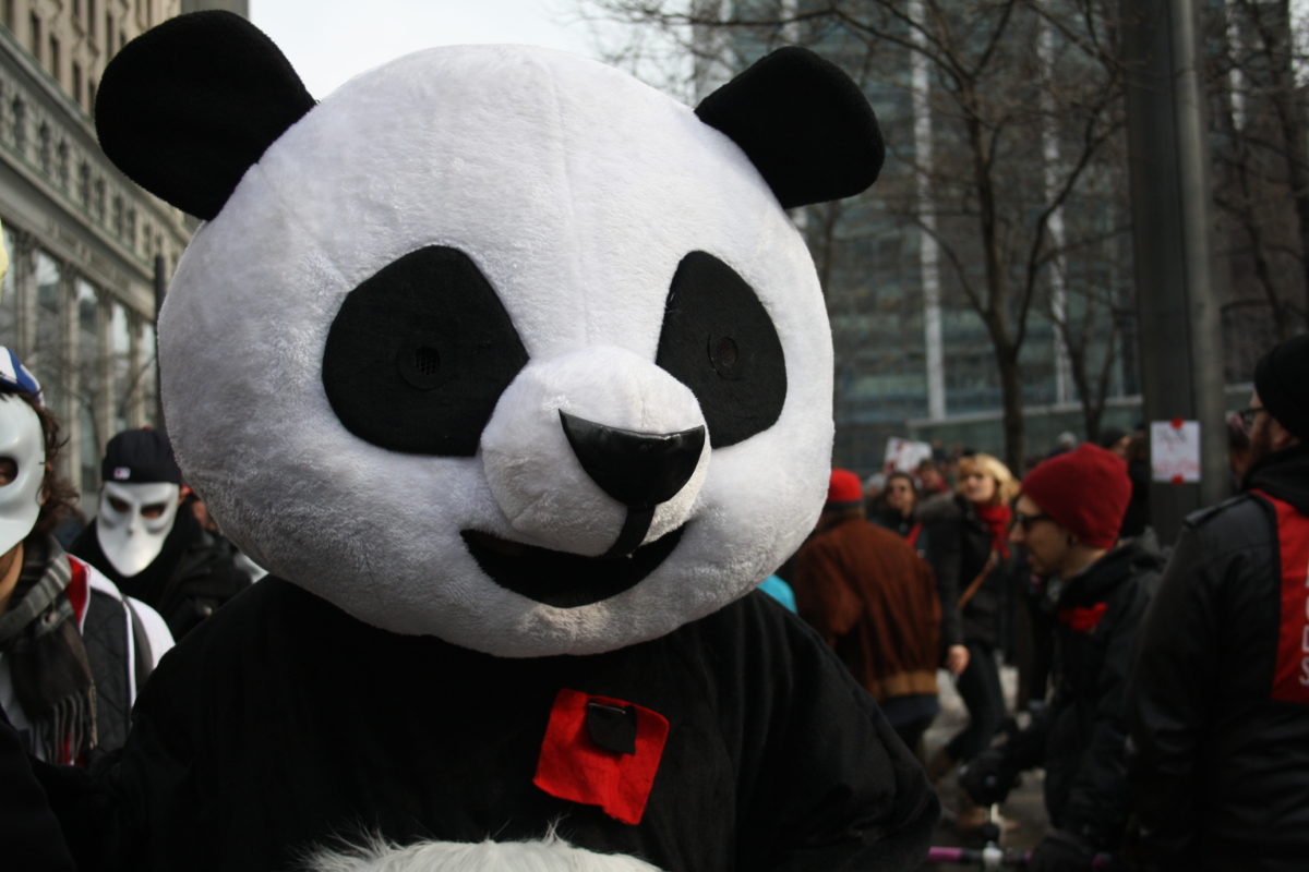 Anarchopanda, mars 2012