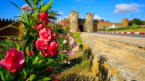 11051832_10206957771453952_6173906412292930812_o