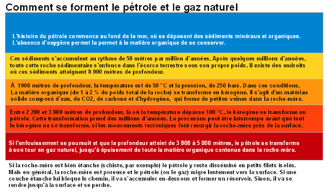 La présence dans le foie des entozoaires