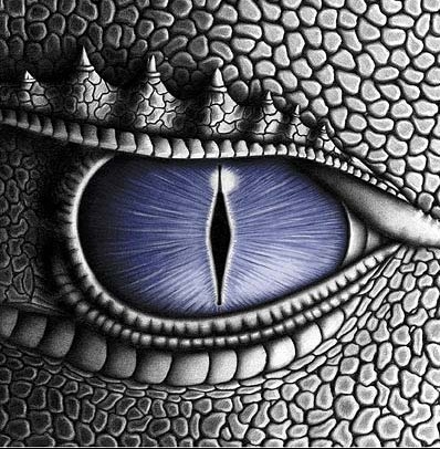 oeil-dragon-22163799a9