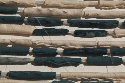Saules, tiré de l'exposition Terre dénudée, de Julie Lavoie.