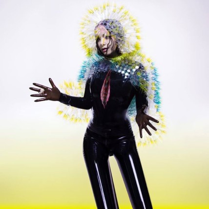 bjorkvulnicura