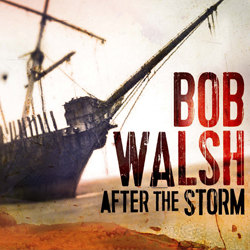 Bob Walsh: After the Storm