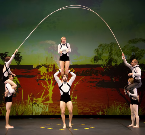 Carnival of the Animals 05_Photo by Justin Nicolas, Atmosphere Photography