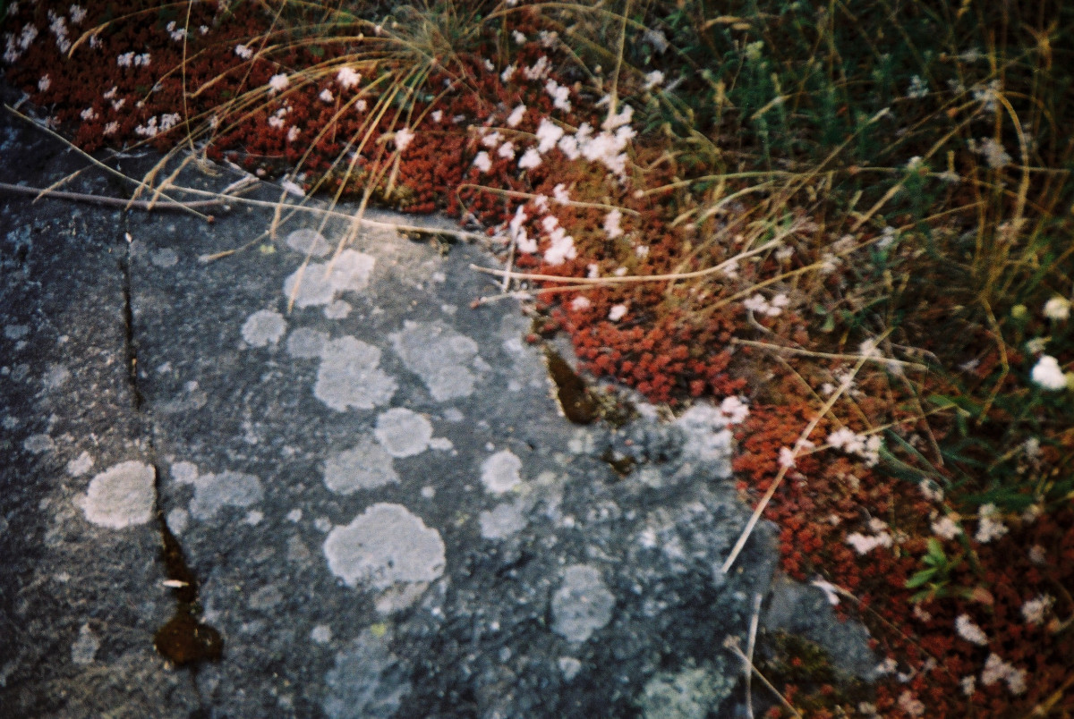 TREK - Islande III, photographie argentique couleur, 2014 (Crédit: Audrée Demers-Roberge)
