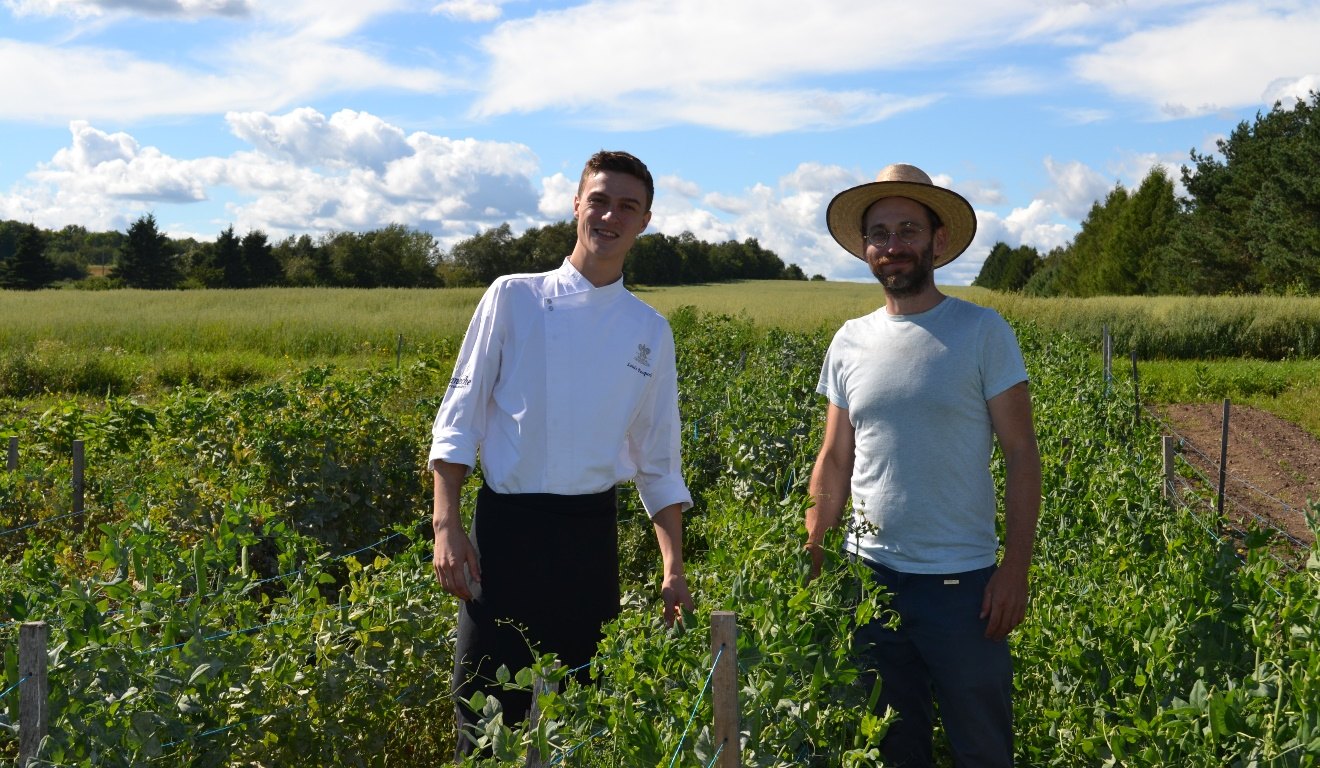 Dans les potagers des restos