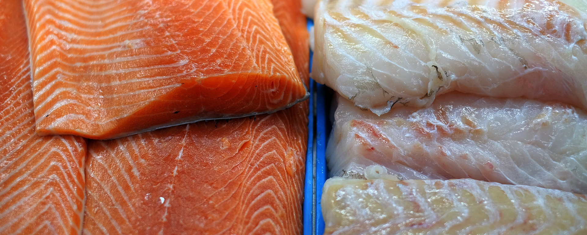 OGM, algue rouge et hausse des prix: les défis du saumon de l'Atlantique
