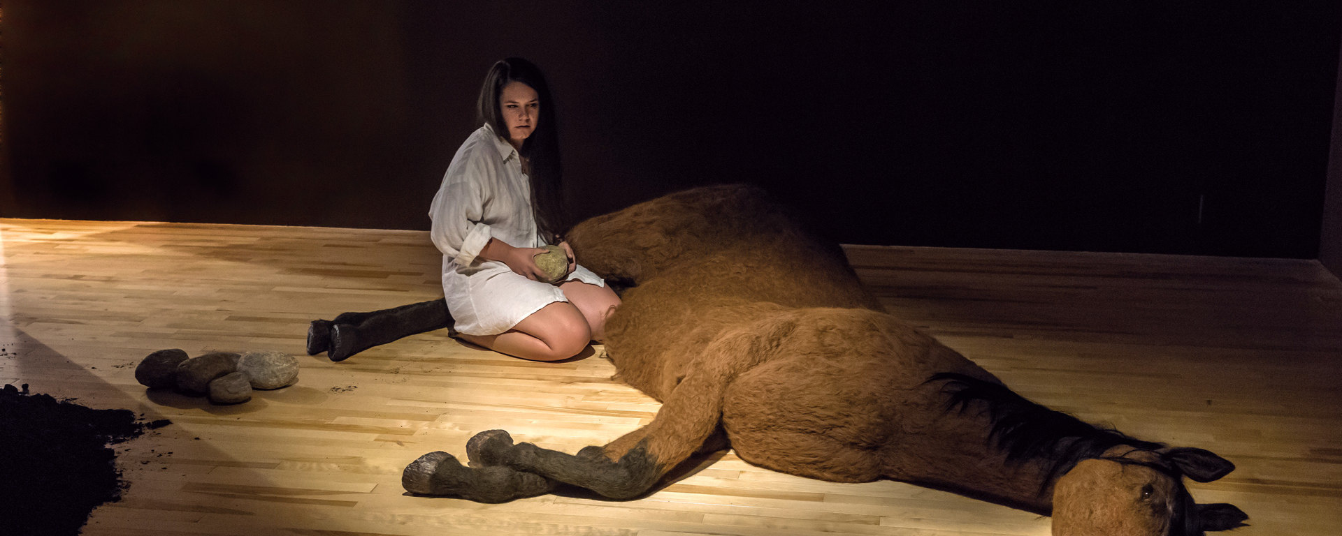 Vicky Sabourin : Singulier bestiaire