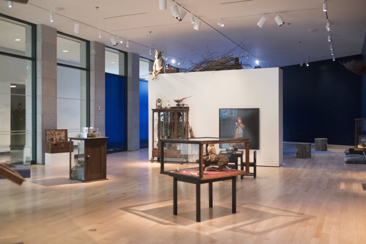 Les Curiosités, vue de l'exposition (Crédit: S. Bourgeois)