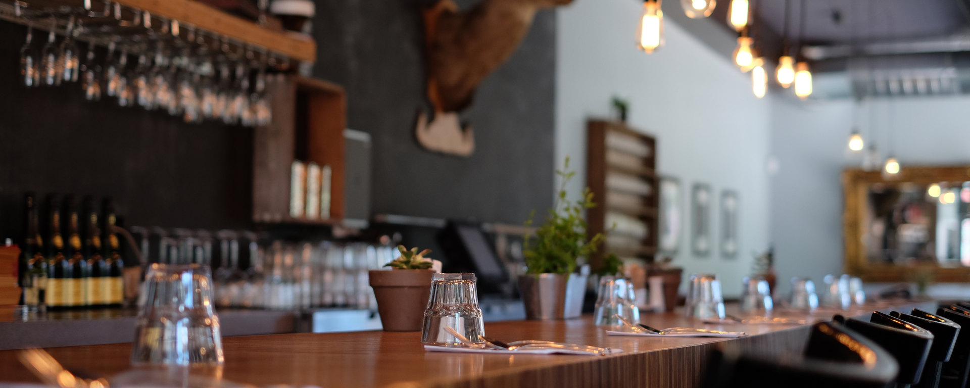 Le Passé composé : de lève-tôt à couche-tard