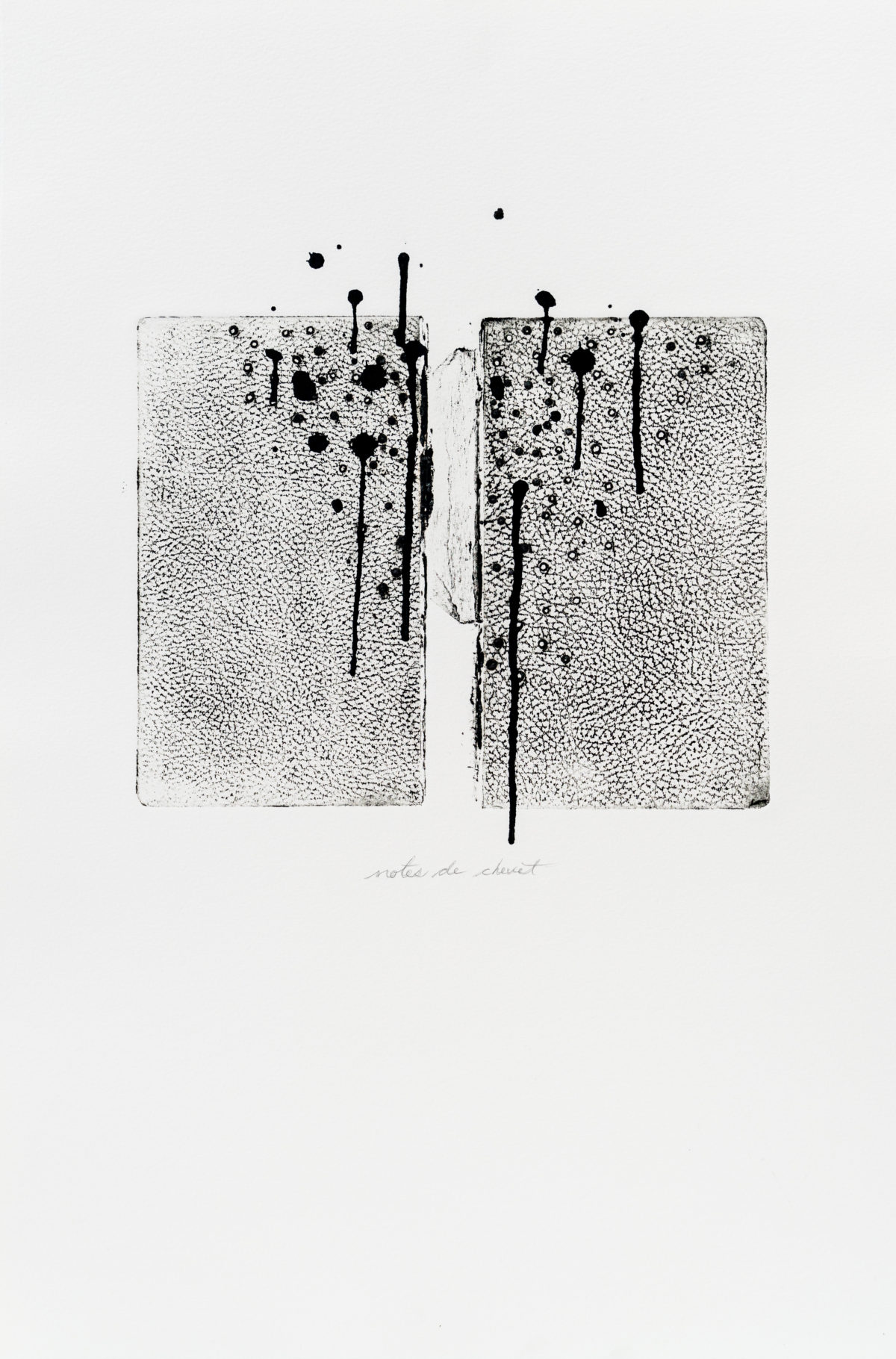 Yannick De Serre (Notes de chevet)