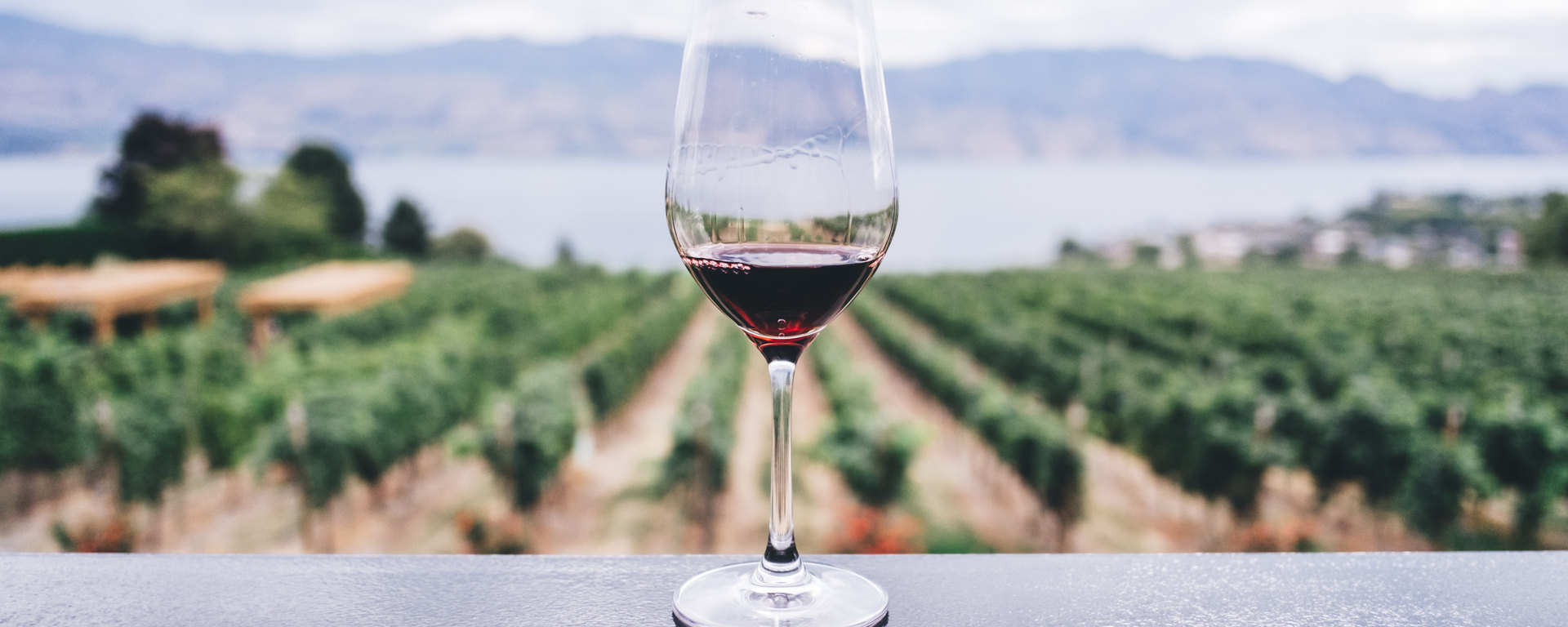 Les Québécois du vin français