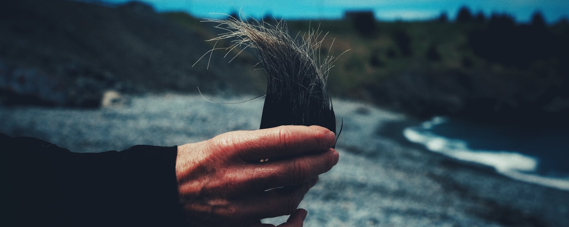 Viriditas : La résistance de Margie Gillis