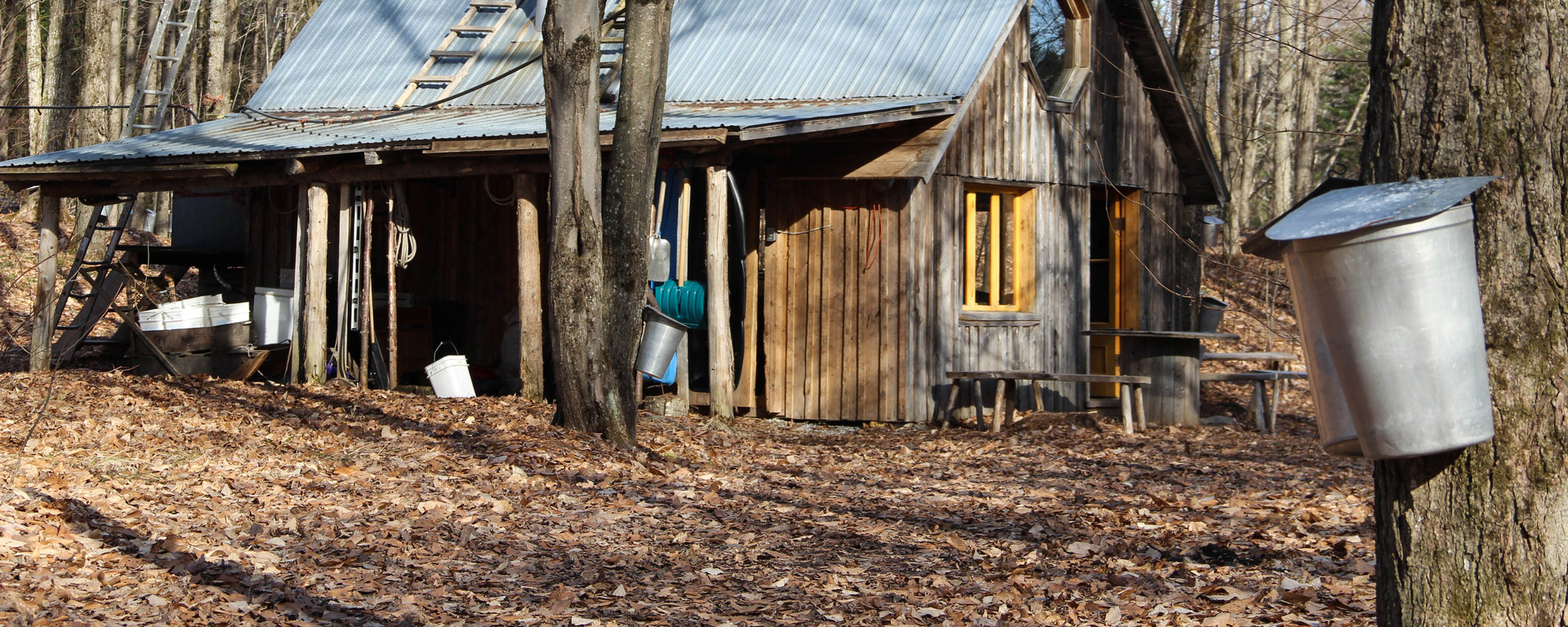 La cabane à sucre se réinvente