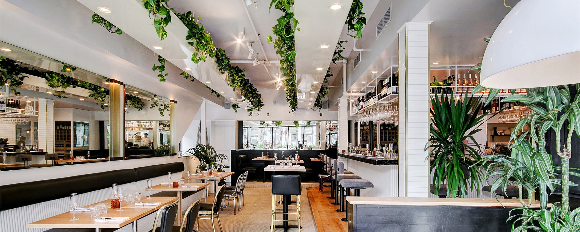 Les restos de la semaine : blanc et noir